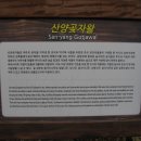 산양곶자왈 답사 (2015.1.24) 이미지