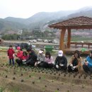 (사)부산밥퍼나눔공동체 네이버블로그