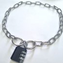 제이제이펫 이미지