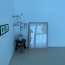 마레모어 이미지