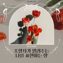 (원데이) 나를 표현하는 향수 이미지