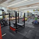 소녀스트렝스 이미지