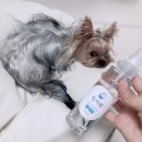 (주)랩토피아 이미지