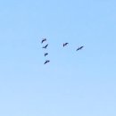 정우성목장 이미지