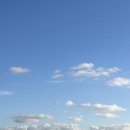 무아 호스텔 | [여자혼자 퍼스여행Perth] 7일차, 대망의 투어후기!🌅🌠 (무아리버/란셀린샌드보딩/피나클스사막/은하수...