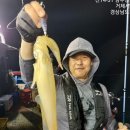 뉴태진호 이미지