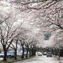 동탄V프라자 이미지