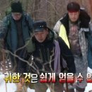 산약초 생활건강 이미지