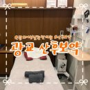 광교한의원 | 쌍둥이출산 광교 한의원 산후보약 후기