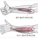 골프엘보의 모든 것 이미지