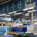성동수산주 이미지