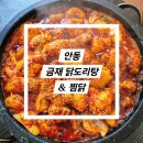 [안동 맛집] 안동 하회마을 맛집 &#39;금재 닭도리탕&amp;찜닭&#39; 내돈내산 현지인 닭도리탕 후기