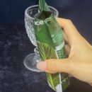클린주스로 시작한 아침 루틴｜시골내음 그린발란스케일 케일사과 착즙주스 후기