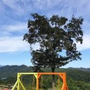 강원한우체험농장 이미지