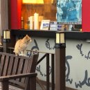 가장맛있는족발 아산시청점 이미지