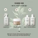 국민털잡이 송도점