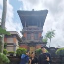 세탁119크린클럽 | vs좋았던 객실 호수/키즈 프렌들리 끝판왕,온수풀 수영장,조식뷔페,키즈클럽,작은 동물원/요가,스파 후기