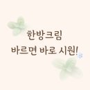아름세 | 멘톨 한방크림 후기｜파스 향 나는데 바르면 시원해서 계속 찾게 돼요