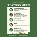 돌고래오토캠핑장2 | 충남 오토캠핑 벌곡산속캠핑장 — 가족 힐링 캠핑 강추