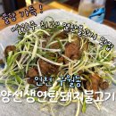 (주)청국 | 길 맛집 ‘양선생연탄돼지불고기’ | 불향 가득 돼지불고기·청국된장술밥 솔직후기 (술집 고기집 추천)