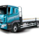 자가용 운전자보험 가입자가 영업용 화물트럭 12톤을 운전한 경우 교통사고처리지원금을 받을 수 있습니까? 이미지