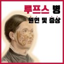 안양로372번길 이미지