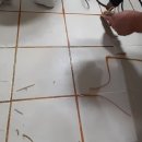 선운다사로움 이미지