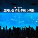 재미난수족관 | 오키나와 츄라우미 수족관 입장료 돌고래쇼 가볼만한곳