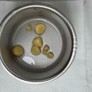 24시 에피소드 동물 메디컬 센터 이미지