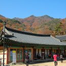 용문산 이미지