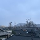 하록당 | [전주 한옥마을] 고즈넉한 전주 한옥 숙소, 하록당