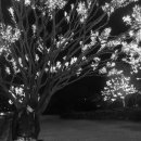 예샘궁치과의원 이미지