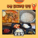 꼬꼬정 | [부산 맛집] 부산시청 점심 맛집 꼬꼬정 1인 닭도리탕 후기🍚(내돈내산)