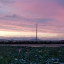 교동 연꽃마을 펜션 이미지