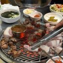제주 한라돈