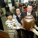 제주북초등학교 이미지