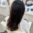 댕댕이 미용실 | 대전 원신흥동 1인 미용실 너를봄(펌 보다 클리닉 후기)