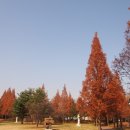 성호기념관 이미지