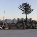 솔밭축산 이미지