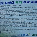 대한다원 이미지