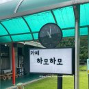 [경북 안동] 고즈넉한 안동의 분위기를 느낄 수 있는 카페 하모하모 뷰가 이쁜 안동 카페