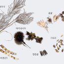 하늘바람 이미지