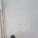 하나로아파트 이미지