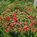 가조소림사 이미지