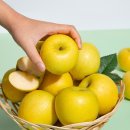 더조은과일 - 남양주시 별내5로 24 | 더조은과일