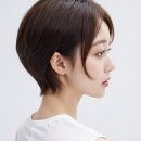 에이브헤어 이미지