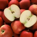 양파, 사과, 고등어… 혈액 혈관 건강에 좋은 음식 5 이미지