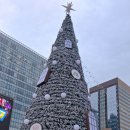 2025년 12월 27일 광화문광장/세종로공원 K-푸드 페스티벌 넉넉/세종문화회관/아티제 세종문화회관점 이미지
