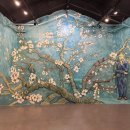 삼달신풍로 | 제주 고흐의정원 소요시간 입장료 할인 방법 및 후기