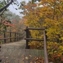 지리산힐링명상센터